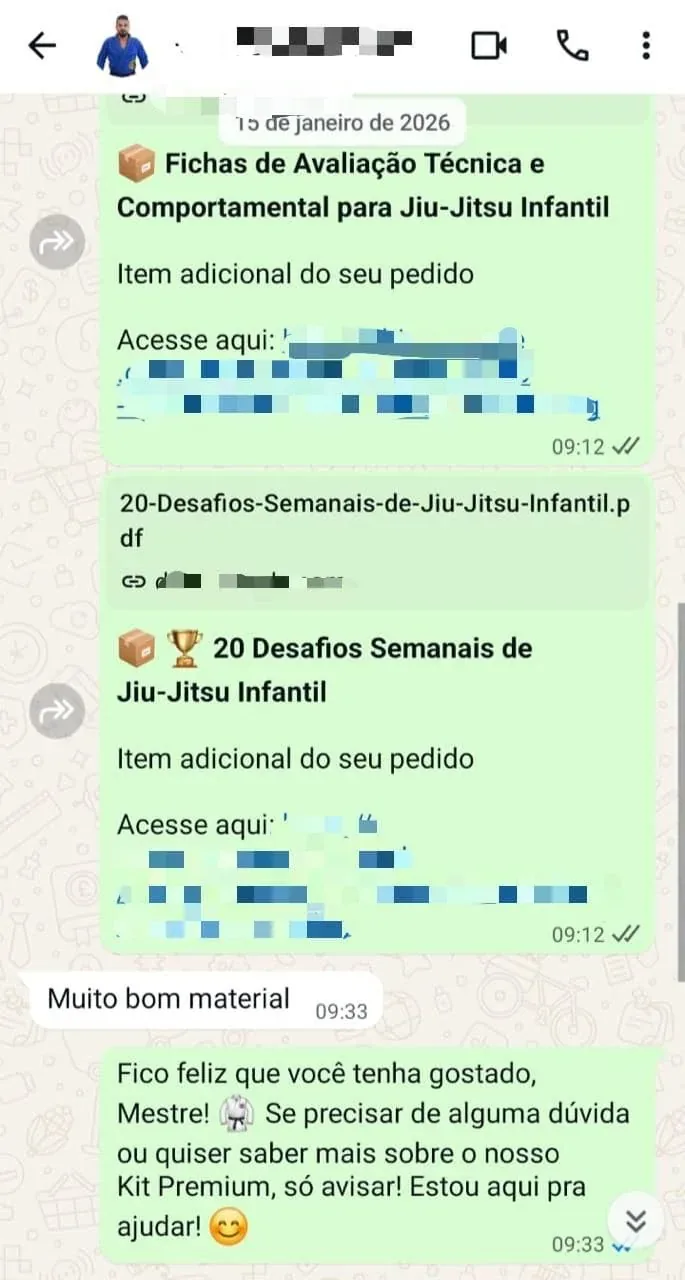 Conversa original do feedback 2